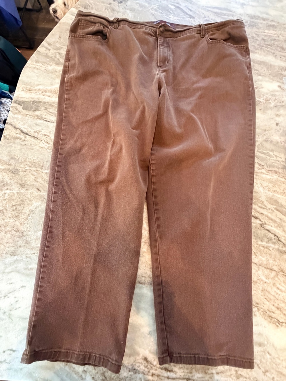 Gloria Vanderbilt Amanda 22W Short Brown Pants Stretch Plus Size Straight Leg
